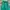 Luxury Going Out Dress Wanita Green