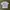Vintage Streetwear T-shirt Pria white photo 1