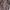 REALTREE CAMO JACKET photo 10
