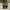 Bally Minimalist Casual Heels Wanita black photo 1
