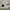 Nike Big Swoosh Windbreaker Jacket photo 4