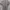 Jersey Manchester United 2017-18 Third Kit photo 3