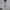 zip hoodie quiksilver  photo 7