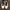 AJ1 Jordan Jester XX Low Laced Air Jordan Shoes Woman photo 2