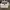 AJ1 Jordan Jester XX Low Laced Air Jordan Shoes Woman photo 4
