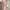 Pastel Pink Prom Dress