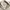 Diesel Vintage Casual Sweater Pria tan cream photo 4