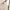 Luxury Minimalist Midi dress Wanita pink photo 3