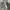 Futurist Casual Backpack Wanita silver photo 7