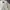 Nike Luxury Minimalist Polo shirt Pria white photo 1