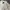 Nike Luxury Minimalist Polo Shirt Pria White