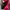 Mizuno Sportswear Sweater Wanita Pink