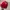 topi tnf warna merah goretex photo 2