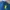 Giordano Luxury Minimalist Polo shirt Pria blue photo 2
