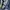 Nigel Cabourn Railman Denim pants in indigo Selvedge  photo 5
