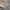 Carhartt Carpenter Canvas Pants photo 4