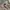 Carhartt Carpenter Canvas Pants photo 7