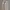 Carhartt Carpenter Canvas Pants photo 2