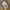 Carhartt Carpenter Canvas Pants photo 8