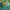 Vintage Hat Pria green photo 2