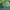 Vintage Hat Pria Green
