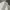 Uniqlo Luxury Minimalist Polo shirt Pria white photo 2