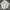 Uniqlo Luxury Minimalist Polo shirt Pria white photo 1