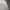Head Luxury Sportswear Polo shirt Pria white photo 3