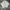 Head Luxury Sportswear Polo shirt Pria white photo 1