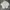 Head Luxury Sportswear Polo Shirt Pria White