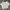 Dunlop Luxury Minimalist Polo shirt Pria white black photo 1