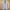 MICHAEL KORS blazer jas luxury original michael kors bekas photo 2