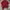 Polo Ralph Lauren Luxury Minimalist Polo shirt Pria burgundy photo 2