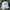topi Michelob Ultra White Beer Cap - StrapBack Hat photo 2