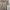 Polo shirt knit beige merk Wood photo 7