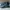 Puma Streetwear Skater Sneakers Pria navy blue photo 1