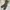 Green Cargo Pants Double Layer For Mountain By Outdoor 