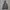 Fear of God ESSENTIALS Streetwear Coquette Bomber jacket Pria gray photo 1