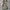 Uniqlo Cargo Nylon Wide Pants photo 6