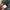 Phantom Military Vest Camouflage photo 7