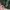 Phantom Military Vest Camouflage photo 8