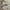 New Balance Sportswear Casual Sneakers Kids khaki photo 1