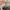 New Balance Sportswear Casual Sneakers Kids khaki photo 4
