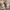 New Balance Sportswear Casual Sneakers Kids khaki photo 3