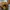 Timberland boots yellow icon photo 3