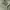 Zara baggy cargo pants photo 5