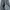 8seconds Baggy Pants Dark Gray photo 2