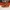Red Wing Shoes Luxury Casual Casual Shoe Pria Brown