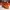 Red Wing Shoes Luxury Casual Casual Shoe Pria Brown
