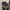 salomon XT-6 Black phantom ORIGINAL photo 7